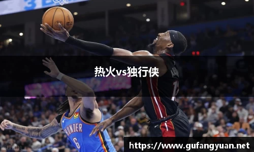 热火vs独行侠