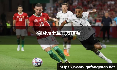 德国vs土耳其友谊赛