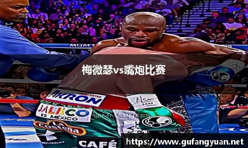 梅微瑟vs嘴炮比赛