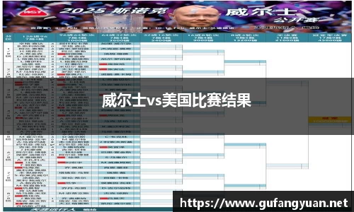 威尔士vs美国比赛结果