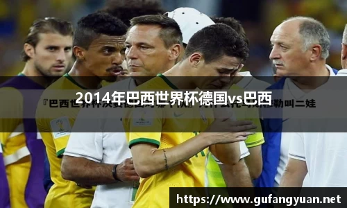 2014年巴西世界杯德国vs巴西