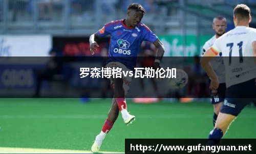 罗森博格vs瓦勒伦加