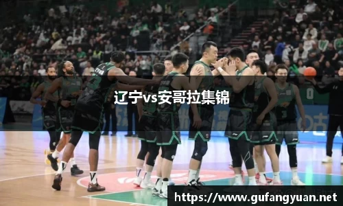 辽宁vs安哥拉集锦