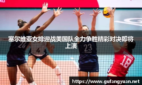 塞尔维亚女排迎战美国队全力争胜精彩对决即将上演