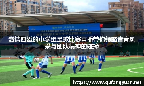 激情四溢的小学组足球比赛直播带你领略青春风采与团队精神的碰撞