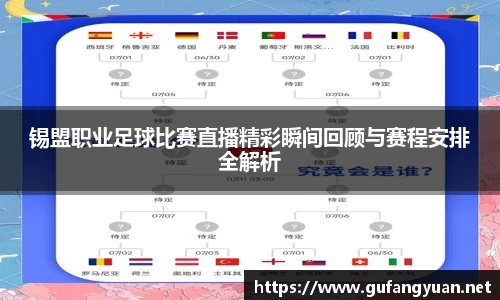 锡盟职业足球比赛直播精彩瞬间回顾与赛程安排全解析