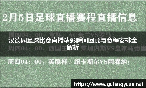 汉德园足球比赛直播精彩瞬间回顾与赛程安排全解析