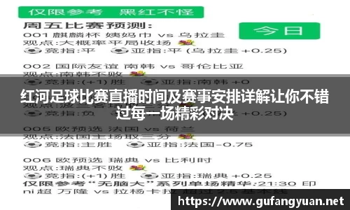 红河足球比赛直播时间及赛事安排详解让你不错过每一场精彩对决