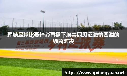 理塘足球比赛精彩直播下坝共同见证激情四溢的绿茵对决
