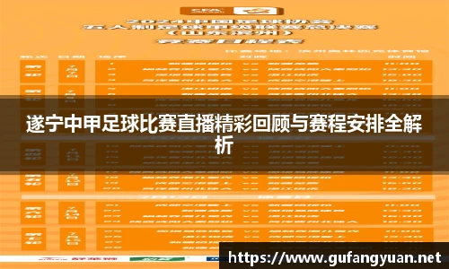 遂宁中甲足球比赛直播精彩回顾与赛程安排全解析