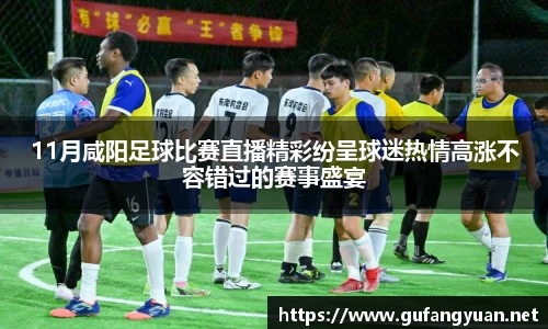 11月咸阳足球比赛直播精彩纷呈球迷热情高涨不容错过的赛事盛宴