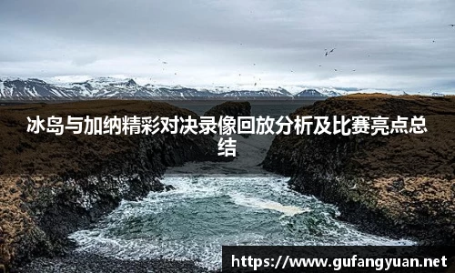 冰岛与加纳精彩对决录像回放分析及比赛亮点总结