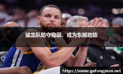 猛龙队防守稳固，成为东部劲旅