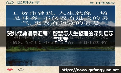 贺炜经典语录汇编：智慧与人生哲理的深刻启示与思考