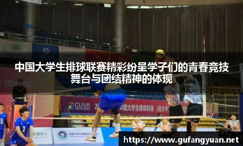 中国大学生排球联赛精彩纷呈学子们的青春竞技舞台与团结精神的体现